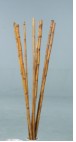 dried flowers d-f135